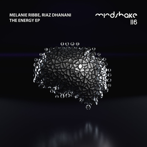 Riaz Dhanani & Melanie Ribbe - The Energy EP [MINDSHAKE116]
